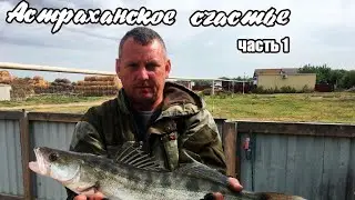 Ловля Щуки, Судака, Жереха На Спиннинг. Рыбалка осенью в Астрахани 2021