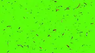 tree leaves falling green screen video ll  Chroma key ll tree green screen .