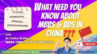 All about Study in China