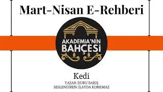 Kedi-DURU BARIŞ