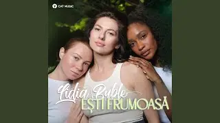 Ești frumoasă (DJ Mephisto & DJ Dr1ve Remix)
