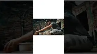 animation stop motion