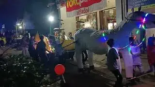 Sapi Unik Semarak takbir keliling Idul Adha