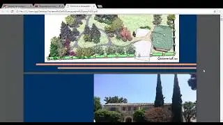 3 "Растения в ландшафтной архитектуре и дизайне"