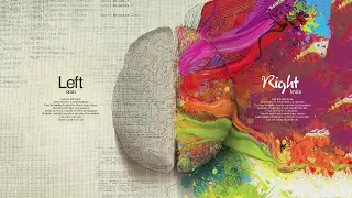 Top 5 Facts About Color