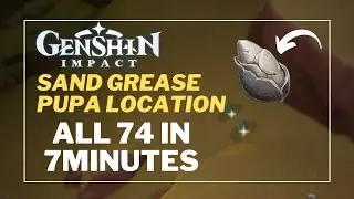 Sand Grease Pupa Locations Fast and Efficient Alhaitham Ascension Materials【Genshin Impact】