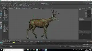 Deer walk cycle and mirror animation. Maya 2018 tutorial
