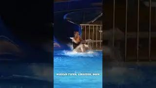 Аквадискотека в аквапарке Карибия #аквапарккарибия #shortvideo
