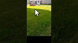 Что случилось с грецкими орехами на районе?  💪 