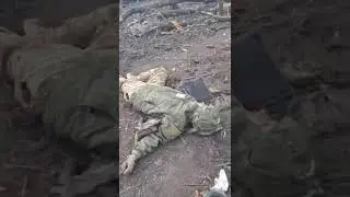 18+ Кадры апокалипсиса на Авдеевском направлении
