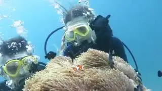 Вечное лето & Phuket-Cheap-Diving.ru (трейлер)
