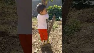 двойнашки
