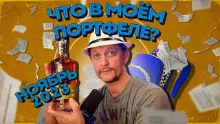 Что у меня в портфеле (ноябрь 2023)