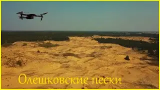 Олешківські піски – найбільша пустеля Європи!