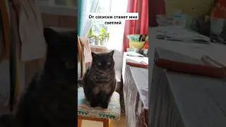 От сосиски...