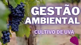 O que faz em gestão ambiental? #uva