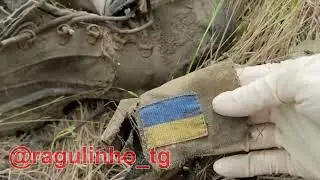15 августа 2024 г.