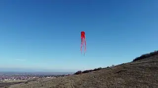 first fly octopus kite