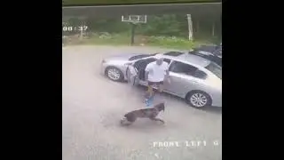 THE WORST idiot at work#5