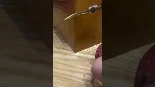 Реставрация шоколадного дерева 🍫