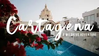 Cartagena: A Wildhive Adventure