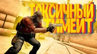 ТОКСИЧНЫЙ ТИМЕЙТ В CS:GO