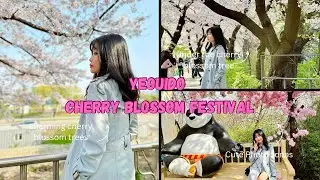 Yeouido Cherry Blossom Festival | Spring in Seoul | Part 4 of 5