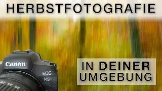 Fotoideen für stimmungsvolle Herbstbilder - Naturfotografie im Stadtwald