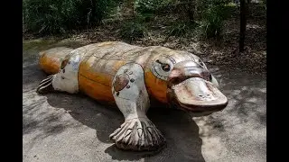Fun facts about Platypus