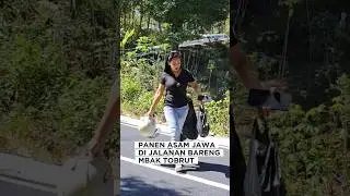 Fanen Asam Jawa lagi kita bareng Tobrut #shorts #minivlog