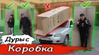 Дұрыс КОРОБКАНЫ таңда // Тірі ҚАЛУ ҮШІН дұрыс КОРОБКАҒА ТЫҒЫЛ