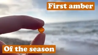 Sad reality of amber hunting