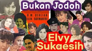 Elvy Sukaesih - Bukan Jodoh | OM Berlian