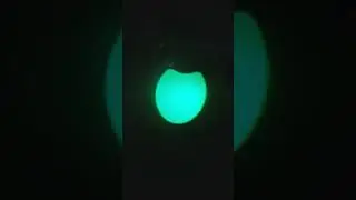 7 января 2024 г.