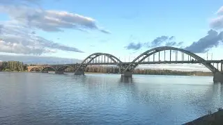 ПримАтивность, Фрейд, Берн - как всё взаимосвязанно
