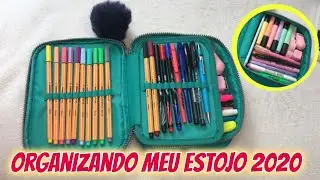 ORGANIZANDO MEU ESTOJO 2020 *100 pens*