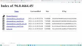 Automating Chrome with VBA