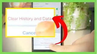 How to Clear Cookies on iPhone/ iPad! 🍪🥇 [SOLVED!!]
