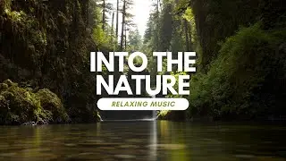 Relaxing Music - Get Into The Nature - No Ads