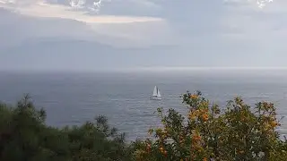 GÖZLER KALBİN AYNASIDIR...