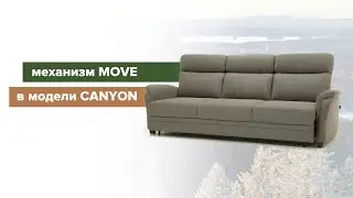 Механизм MOVE в модели CANYON