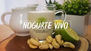 COMO FAZER NOGURTE VEGANO - RECEITA SIMPLES COM CASTANHA DE CAJU CRUA