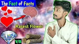 Love ❤ & Diamond V/S Wood & Human Brain & Most Rare Flower Random Facts