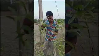 mai karu to karu kya 😂😂#funnyvideo  #shortsvideo @sintucreation9747