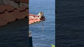 Красивое место на Бали