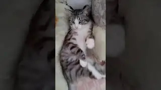 сколько вам лет если прибавить 30🤣🤣🤣🤪