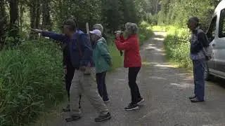 Exclusive Wildlife and Bear Search Tour - Icy Strait, Alaska