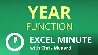 Excel YEAR Function |  Excel One Minute Functions Explained