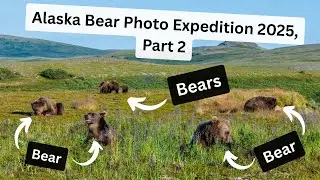 Alaska Brown Bear Photography Expedition, Part 2. We're completely surrounded by giant BEARS!