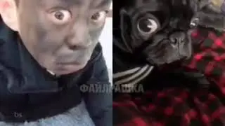 Найди 10 отличий